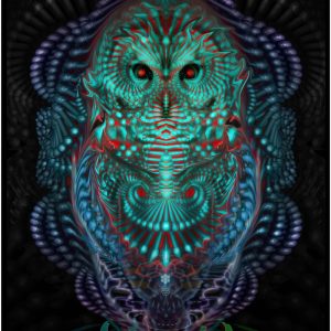 Ascension OWL_A3